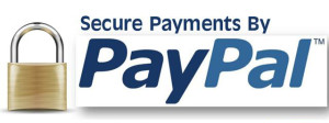 secure-checkout-paypal